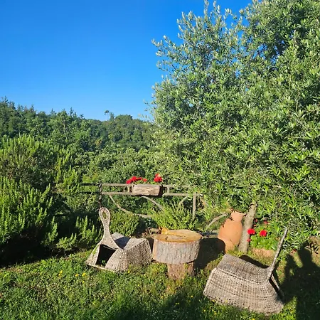 San Martino Country Barberino di Mugello