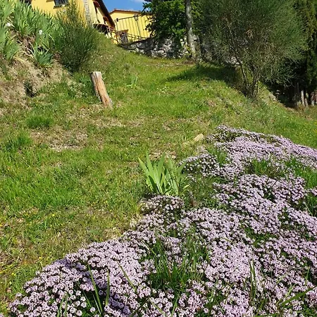 Сasa de vacaciones San Martino Country *